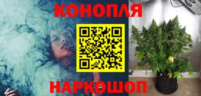 apvp Гай