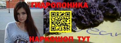 прущие крисы Гатчина