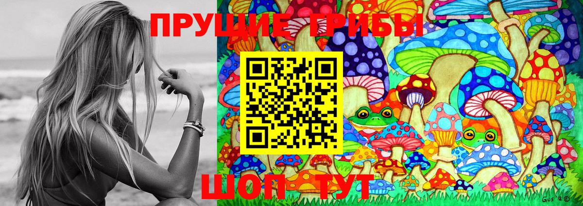 Заинск  наркота  Вход с VPN  Галлюциногенные грибы Psilocybe 